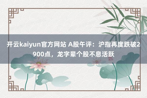 开云kaiyun官方网站 A股午评：沪指再度跌破2900点，龙字辈个股不息活跃