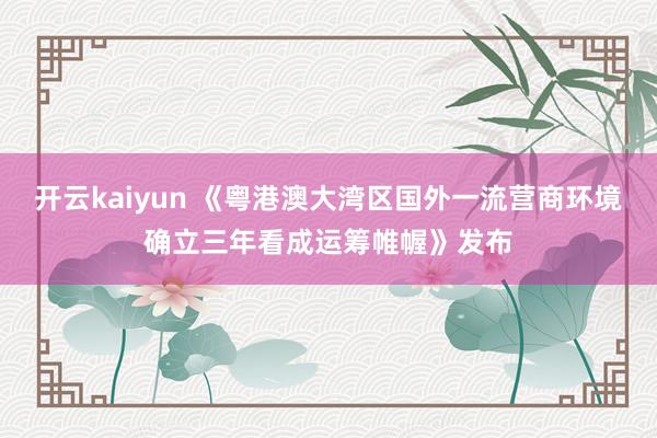 开云kaiyun 《粤港澳大湾区国外一流营商环境确立三年看成运筹帷幄》发布