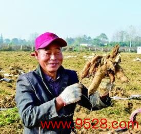 开云kaiyun中国官方网站  河南信阳羊山新区潘寨村：产业兴旺村和好意思