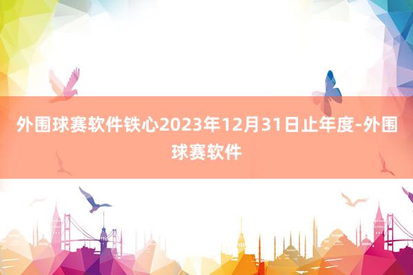 外围球赛软件铁心2023年12月31日止年度-外围球赛软件