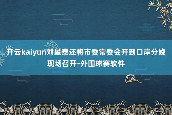 开云kaiyun刘星泰还将市委常委会开到口岸分娩现场召开-外围球赛软件