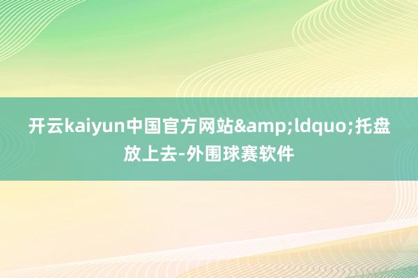 开云kaiyun中国官方网站&ldquo;托盘放上去-外围球赛软件