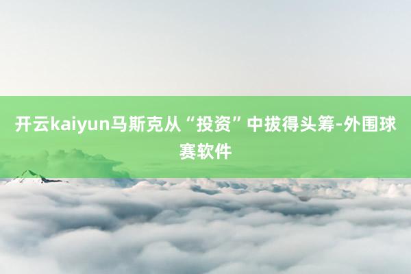 开云kaiyun马斯克从“投资”中拔得头筹-外围球赛软件