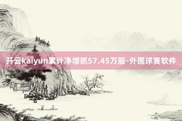 开云kaiyun累计净增抓57.45万股-外围球赛软件