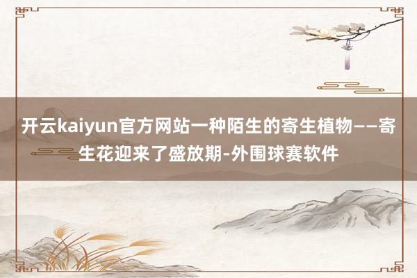 开云kaiyun官方网站一种陌生的寄生植物——寄生花迎来了盛放期-外围球赛软件