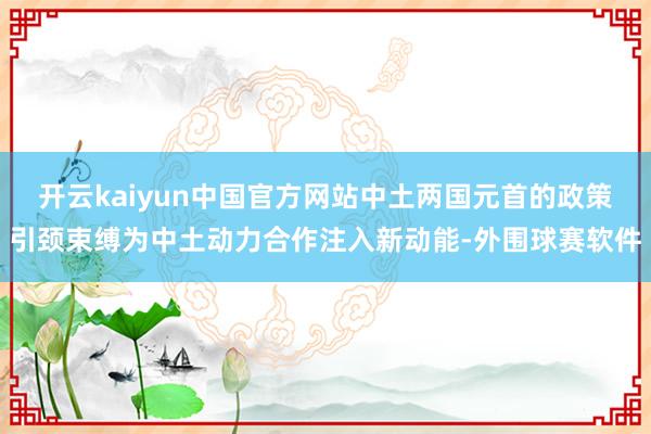 开云kaiyun中国官方网站中土两国元首的政策引颈束缚为中土动力合作注入新动能-外围球赛软件