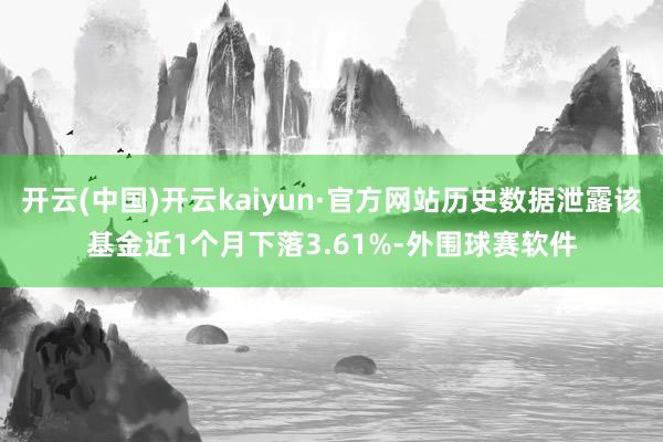 开云(中国)开云kaiyun·官方网站历史数据泄露该基金近1个月下落3.61%-外围球赛软件