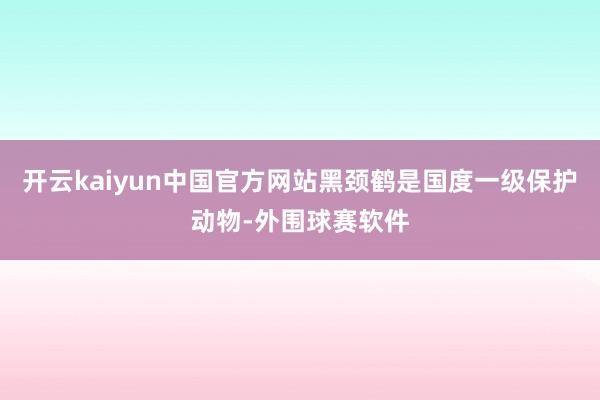开云kaiyun中国官方网站黑颈鹤是国度一级保护动物-外围球赛软件