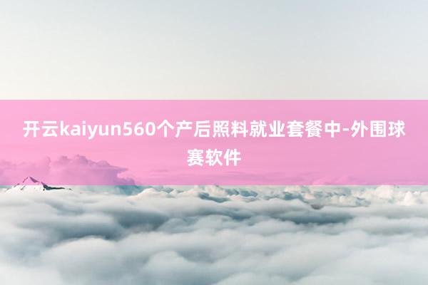 开云kaiyun560个产后照料就业套餐中-外围球赛软件