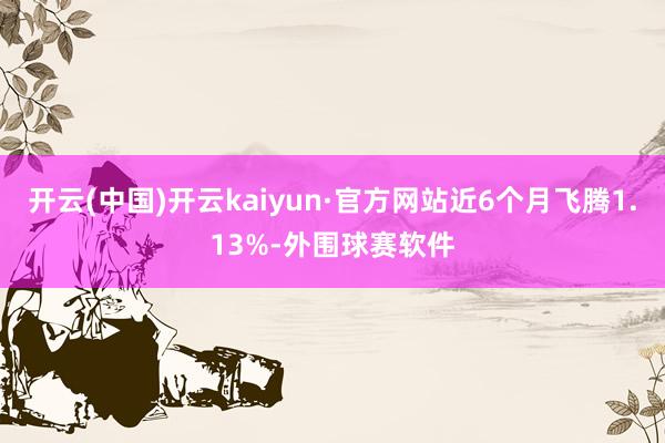 开云(中国)开云kaiyun·官方网站近6个月飞腾1.13%-外围球赛软件