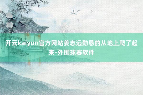 开云kaiyun官方网站姜志远勤恳的从地上爬了起来-外围球赛软件