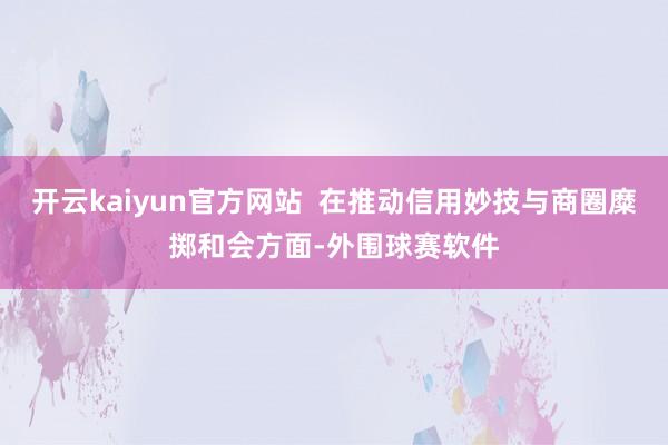 开云kaiyun官方网站  在推动信用妙技与商圈糜掷和会方面-外围球赛软件