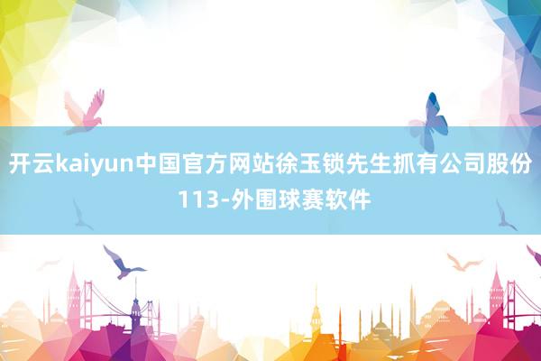 开云kaiyun中国官方网站徐玉锁先生抓有公司股份 113-外围球赛软件