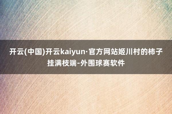 开云(中国)开云kaiyun·官方网站姬川村的柿子挂满枝端-外围球赛软件