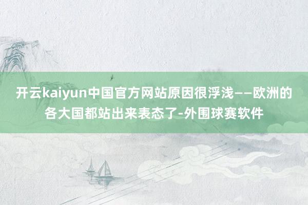 开云kaiyun中国官方网站原因很浮浅——欧洲的各大国都站出来表态了-外围球赛软件
