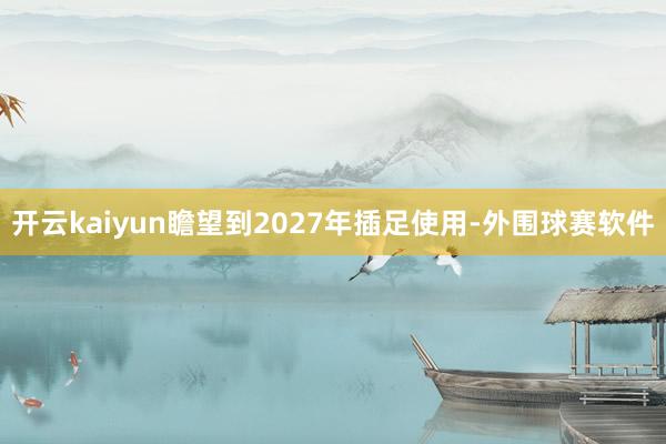 开云kaiyun瞻望到2027年插足使用-外围球赛软件