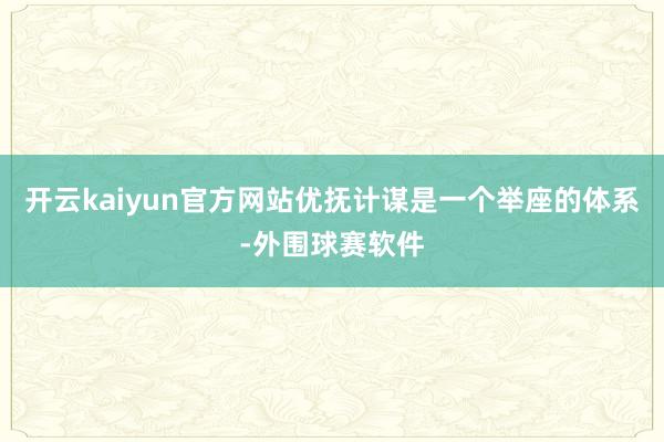 开云kaiyun官方网站优抚计谋是一个举座的体系-外围球赛软件
