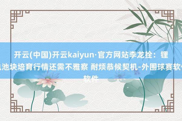 开云(中国)开云kaiyun·官方网站李龙拴：锂电池块培育行情还需不雅察 耐烦恭候契机-外围球赛软件
