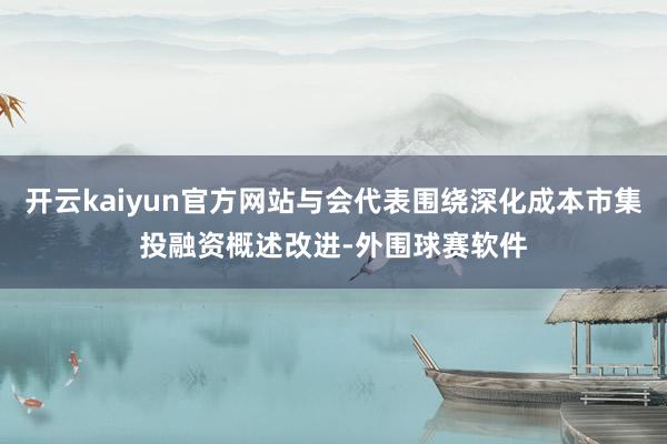 开云kaiyun官方网站与会代表围绕深化成本市集投融资概述改进-外围球赛软件