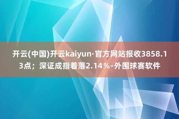 开云(中国)开云kaiyun·官方网站报收3858.13点；深证成指着落2.14％-外围球赛软件