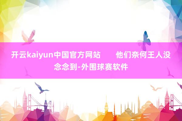开云kaiyun中国官方网站       他们奈何王人没念念到-外围球赛软件
