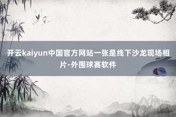 开云kaiyun中国官方网站一张是线下沙龙现场相片-外围球赛软件