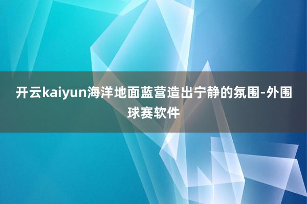 开云kaiyun海洋地面蓝营造出宁静的氛围-外围球赛软件