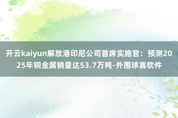 开云kaiyun解放港印尼公司首席实施官：预测2025年铜金属销量达53.7万吨-外围球赛软件