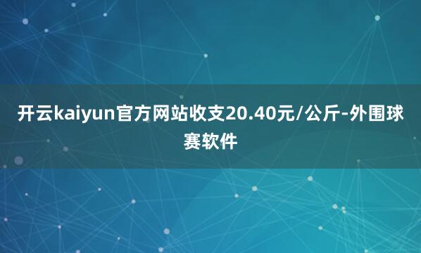 开云kaiyun官方网站收支20.40元/公斤-外围球赛软件