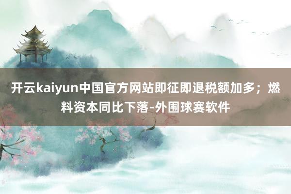开云kaiyun中国官方网站即征即退税额加多；燃料资本同比下落-外围球赛软件