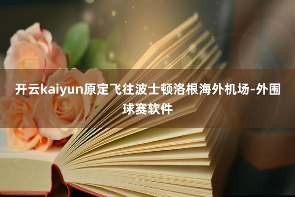 开云kaiyun原定飞往波士顿洛根海外机场-外围球赛软件